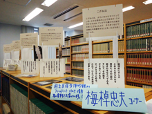 梅棹忠夫先生
